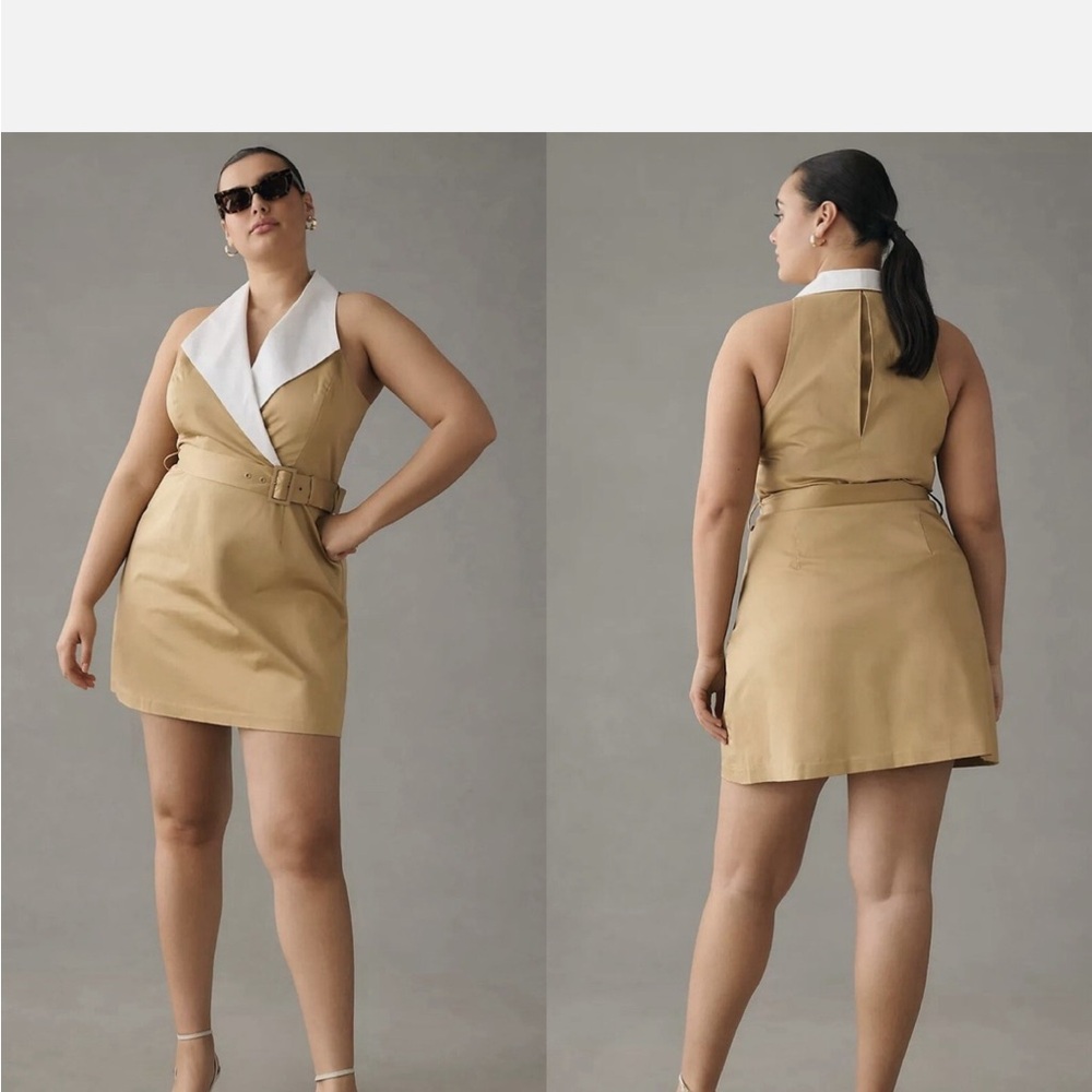 Hutch Tan and White Mini Dress - Picture 2 of 5
